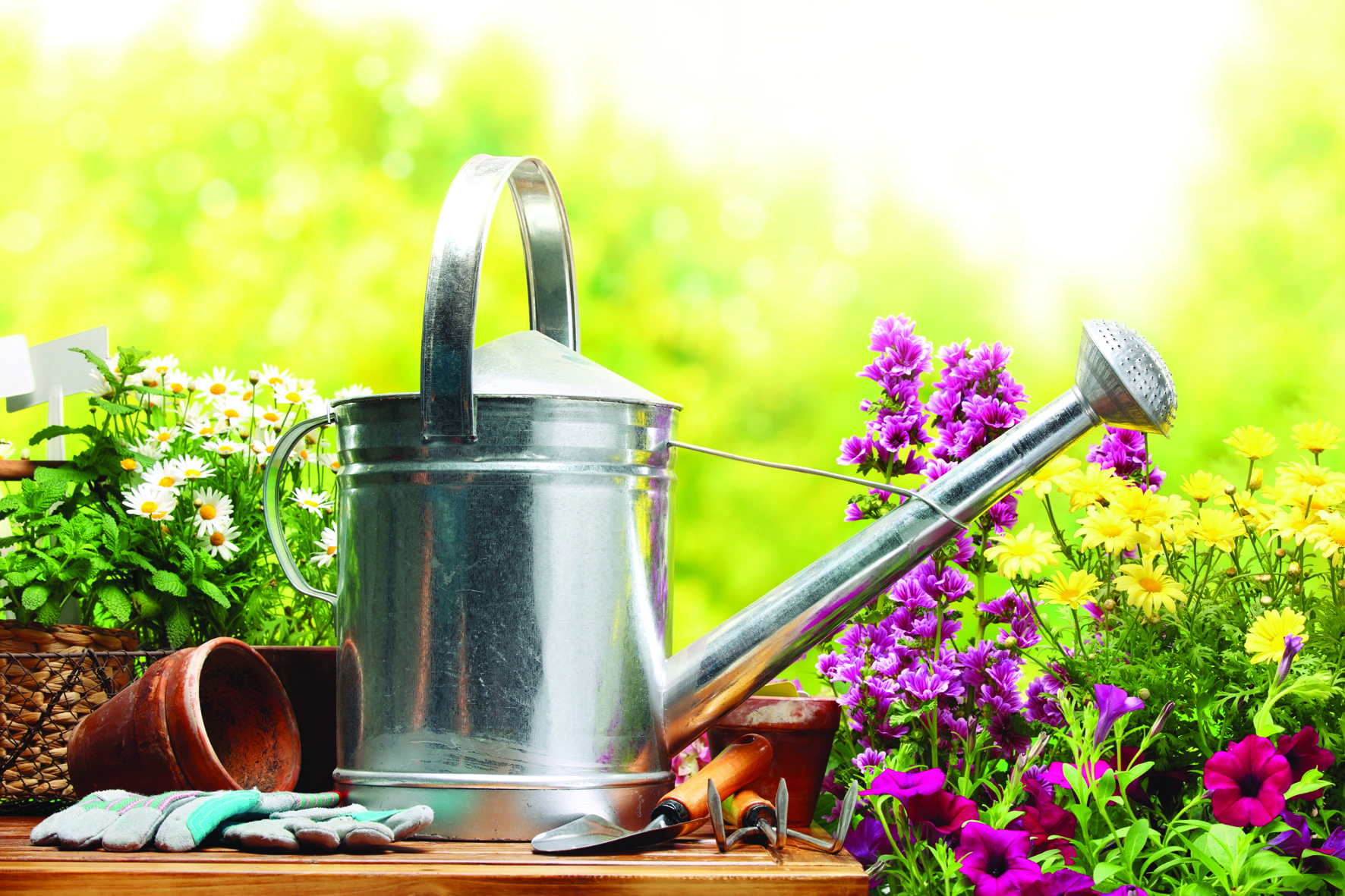 On Holiday? What about the Garden?