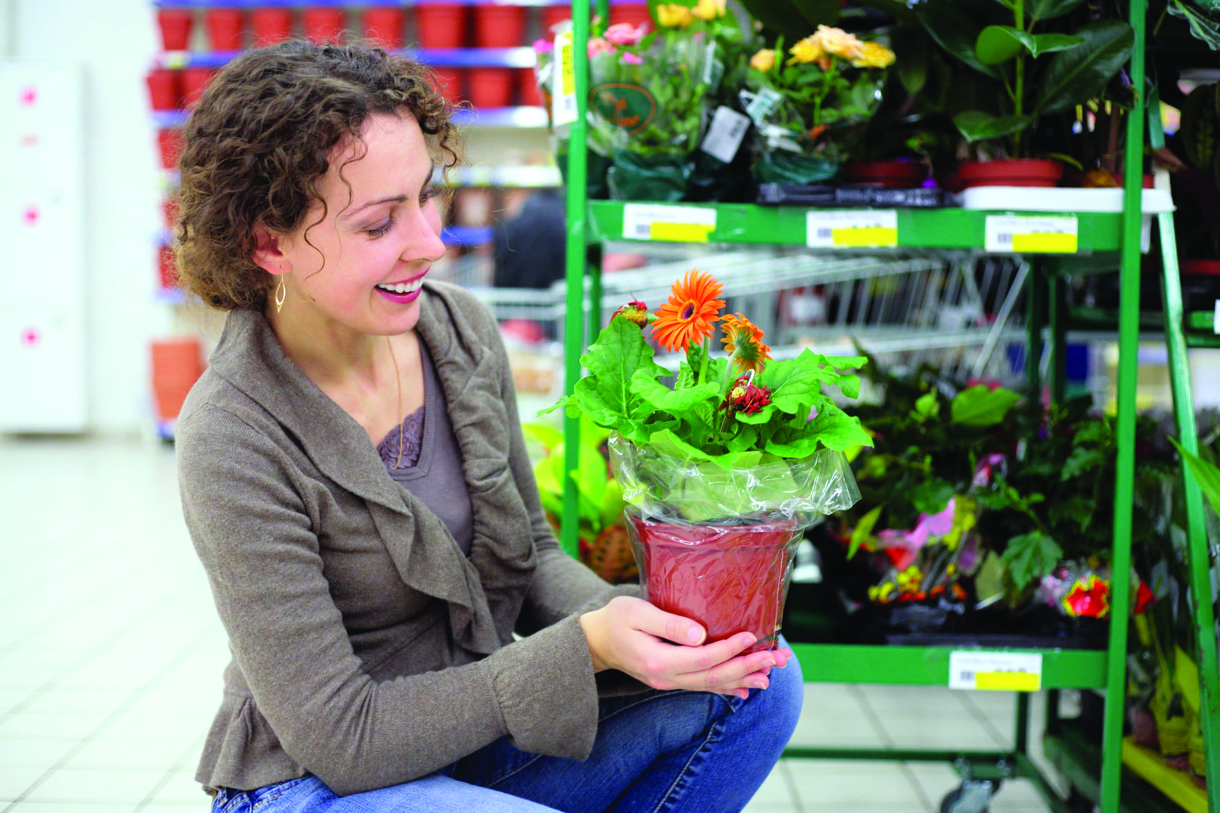 Gardening on a Budget