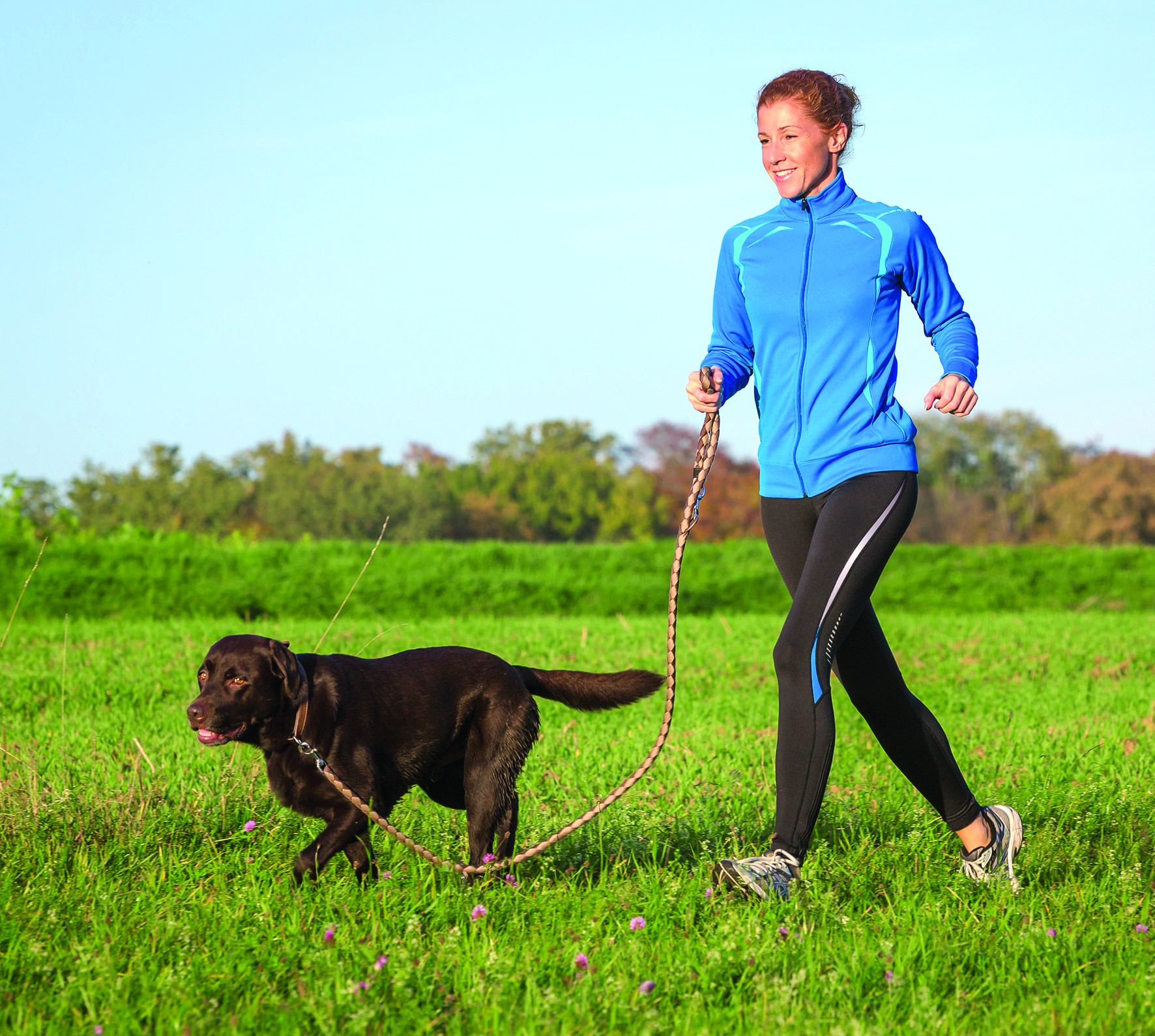 Cold Weather Advice for your Pet