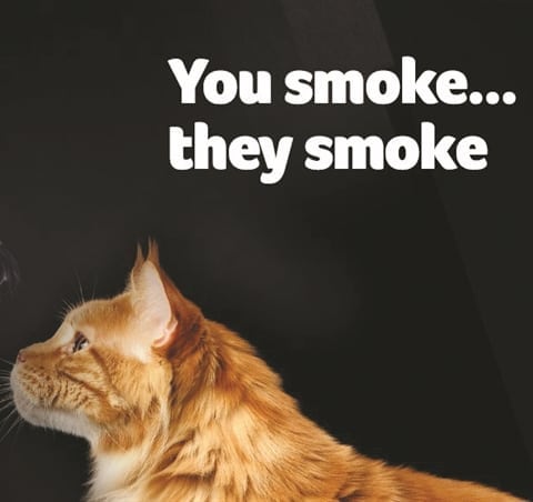 You Smoke … They Smoke