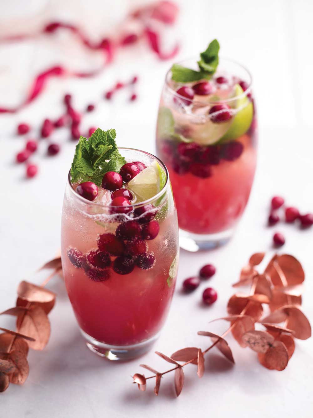 Cranberry Mojito