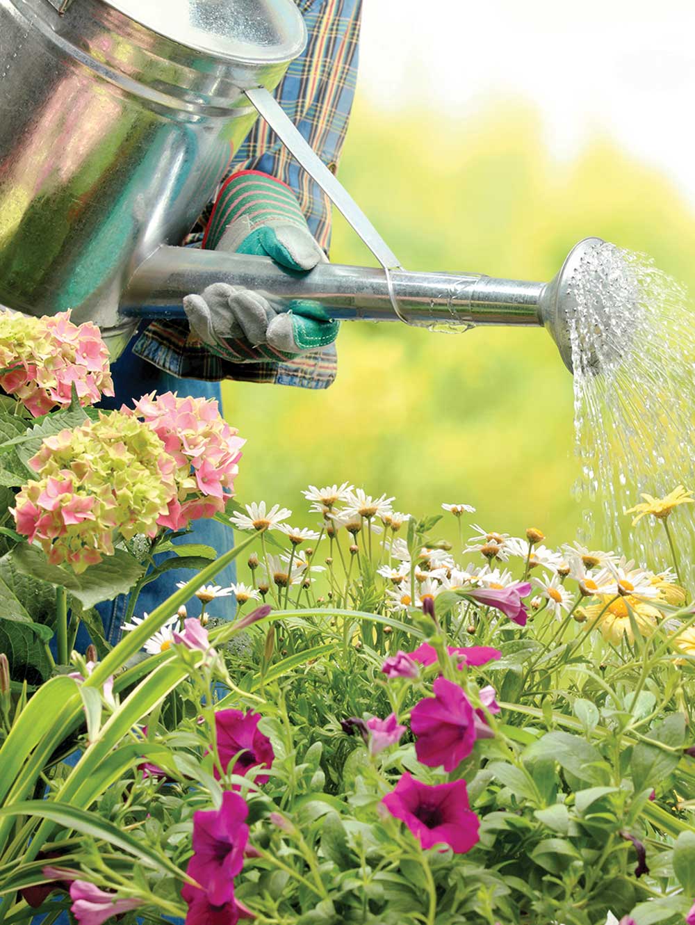 Watering the Garden