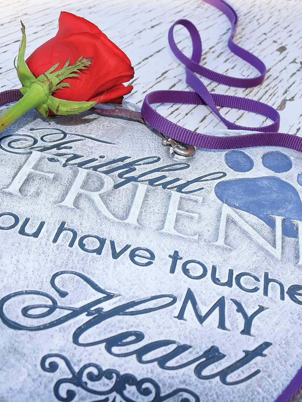 Saying Goodbye to our Pets