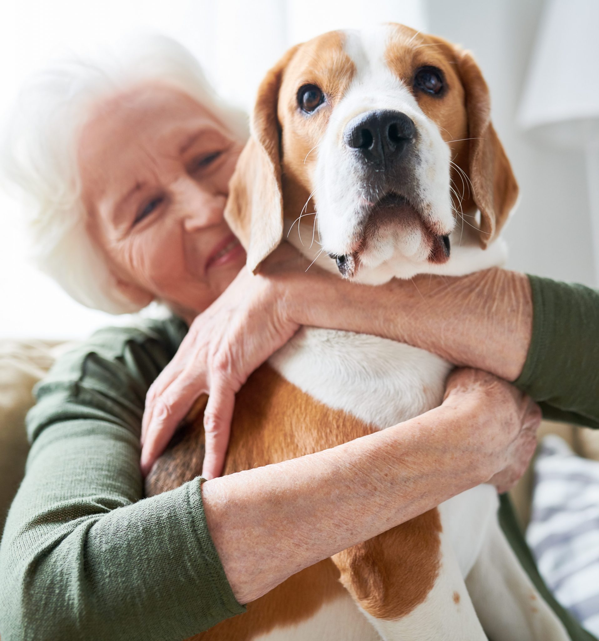 Pets & January Blues