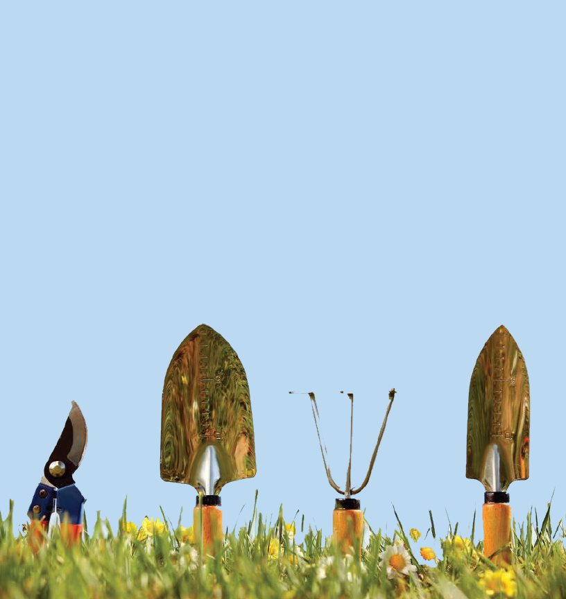 Give your Garden Tools some TLC