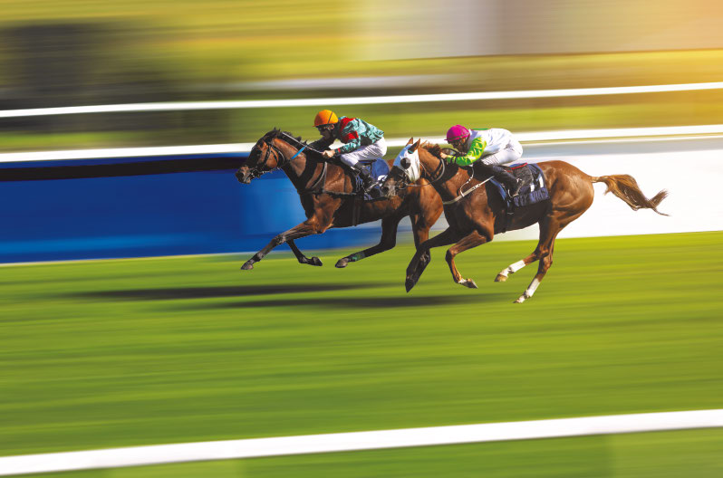 You Can’t Beat a Day at the Races! By Hazel Clayton