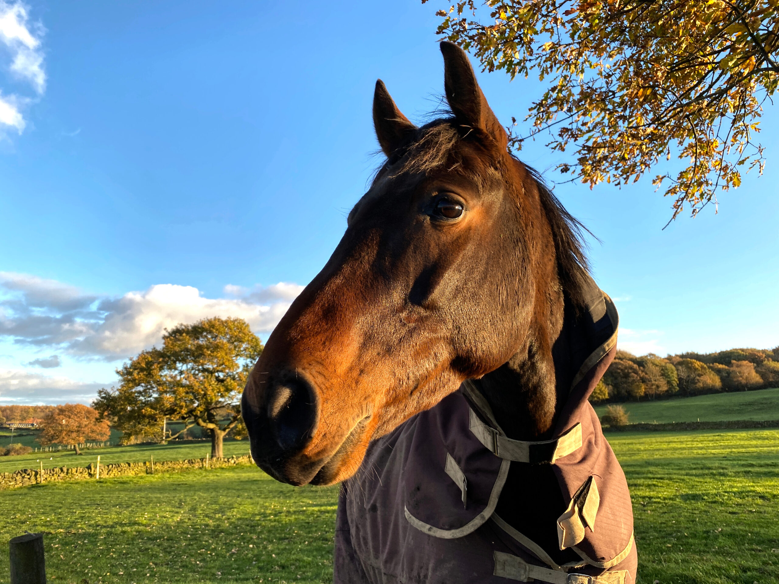 The Benefits & Joys of Volunteering