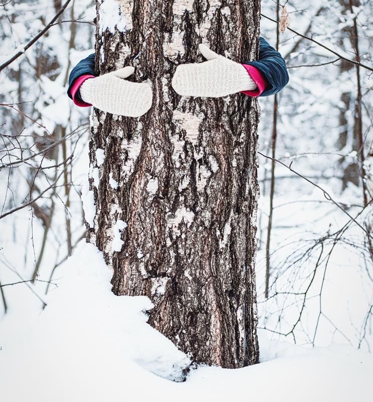 Embracing The Winter’s Chill