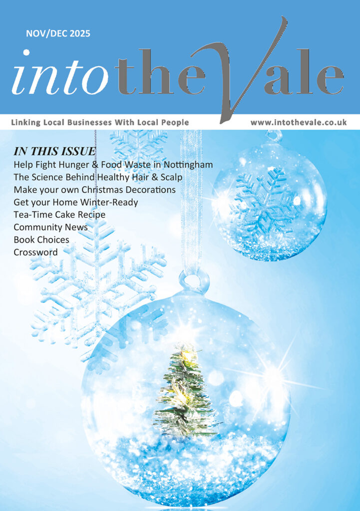 Into the Vale November December 2025 edition
